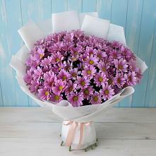 Букет цветов из:  Хризантемы в Орловском Забайкальского края