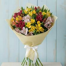 Букет цветов из:  Альстромерии в Орловском Забайкальского края