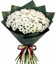 Букет цветов из:  Хризантемы в Орловском Забайкальского края