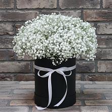 Цветочная композиция из Гипсофила в шляпной коробке в Орловском Забайкальского края