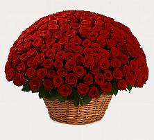 Премиум букет из: Розы #REPLACE_PRED# Орловском Забайкальского края