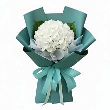 Букет цветов из:  Гортензия в Орловском Забайкальского края